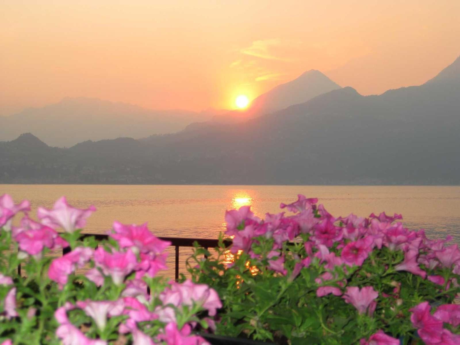 Divina Vita Apartments Varenna Exteriér fotografie